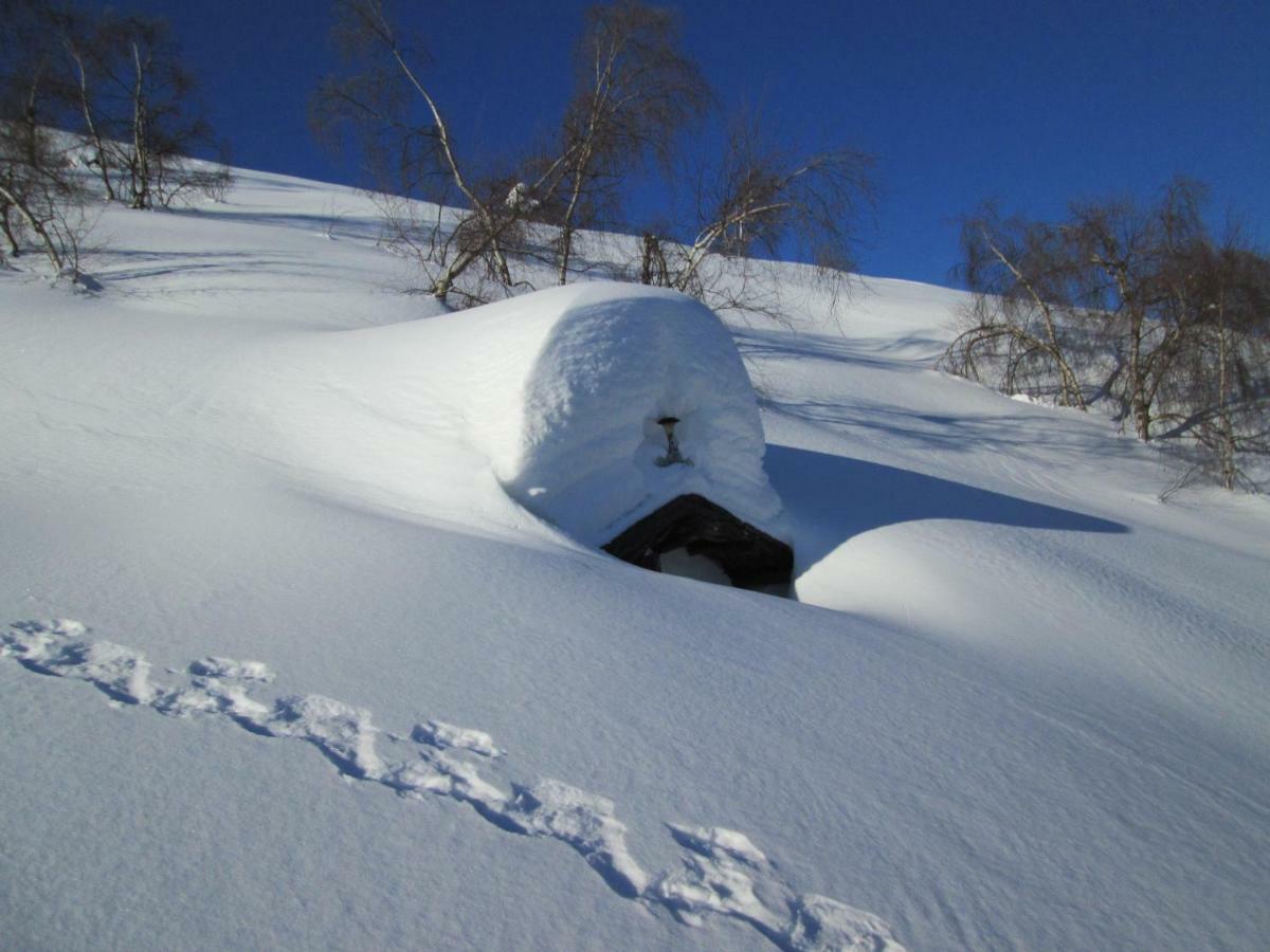 Gran Paradiso Alpette ภายนอก รูปภาพ